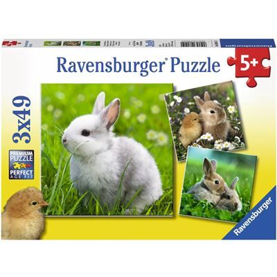 Spiel 4004.0